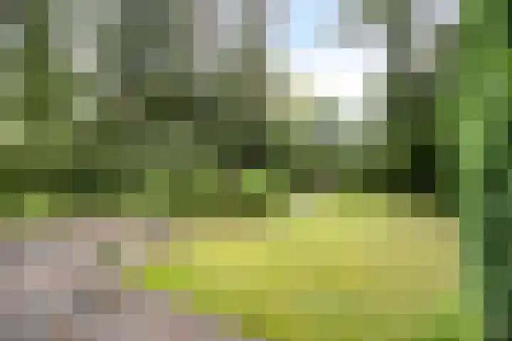 Bremweg 21 Harfsen thumbnail 26