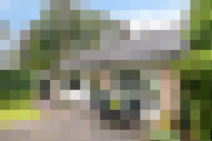 Bremweg 21 Harfsen thumbnail 30