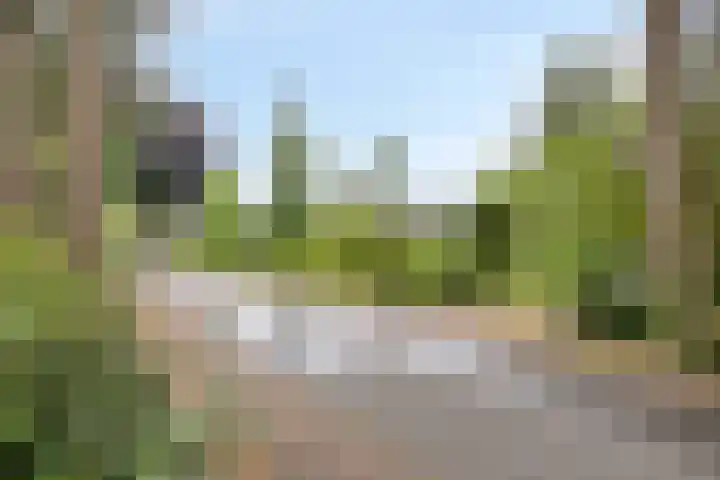 Bremweg 21 Harfsen thumbnail 33