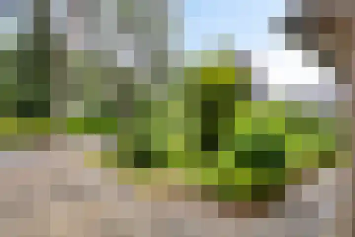 Bremweg 21 Harfsen thumbnail 34