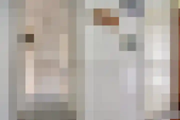 Bremweg 21 Harfsen thumbnail 4