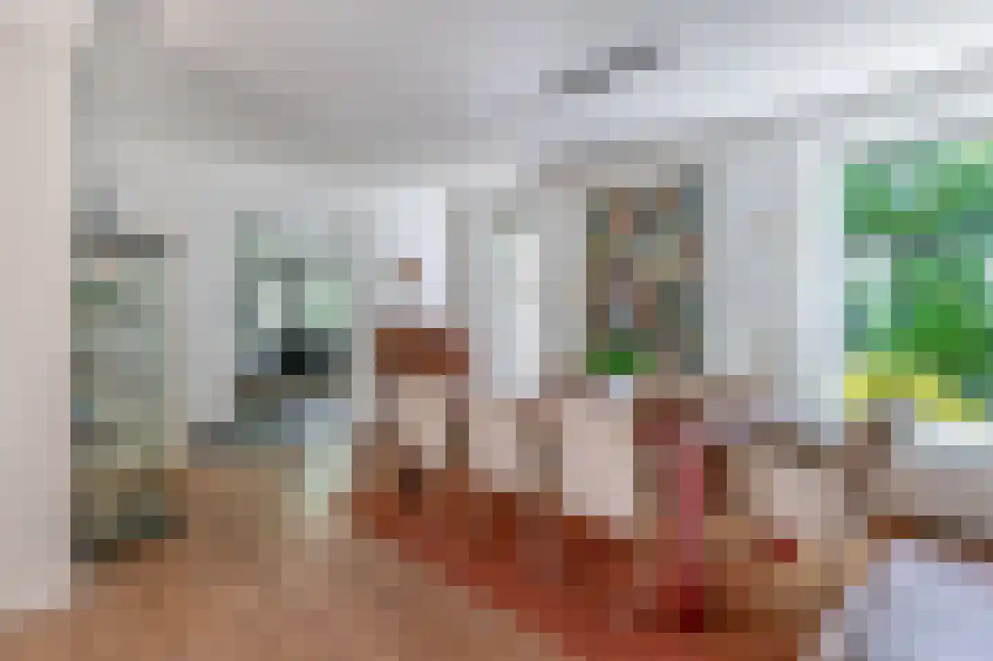 Bremweg 21 Venlo thumbnail 10