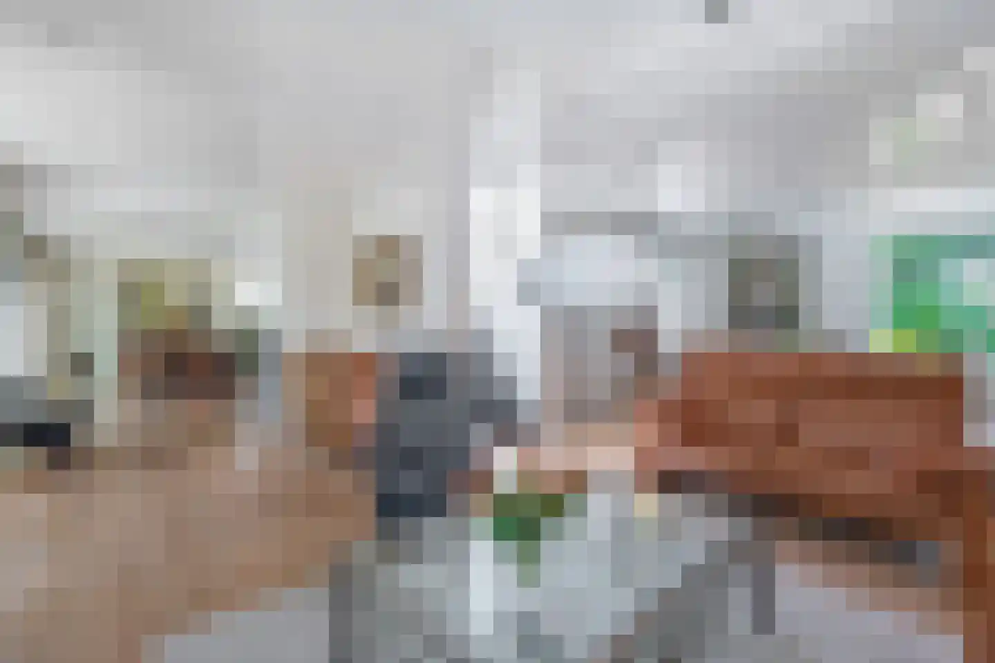 Bremweg 21 Venlo thumbnail 13