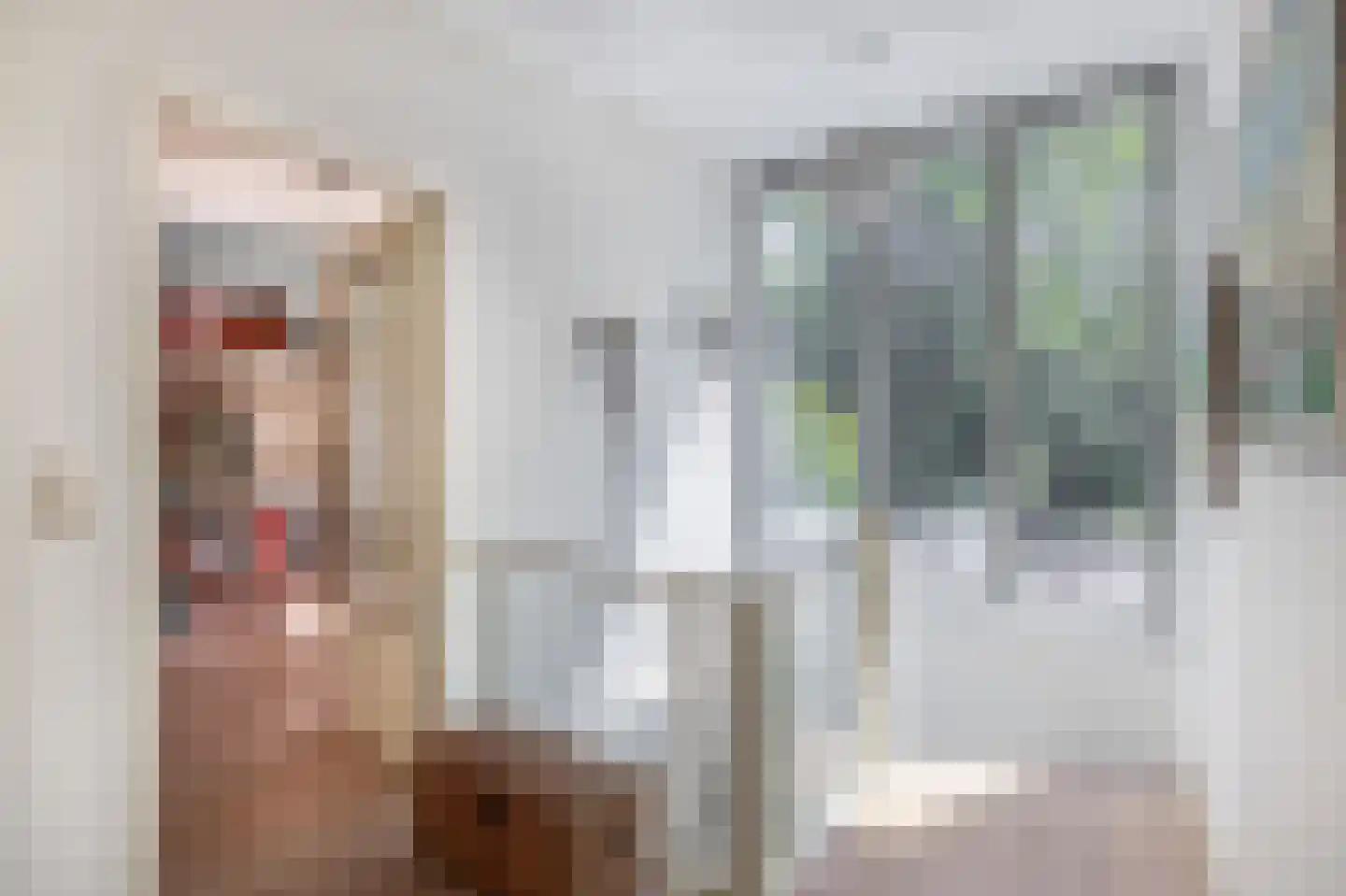 Bremweg 21 Venlo thumbnail 19