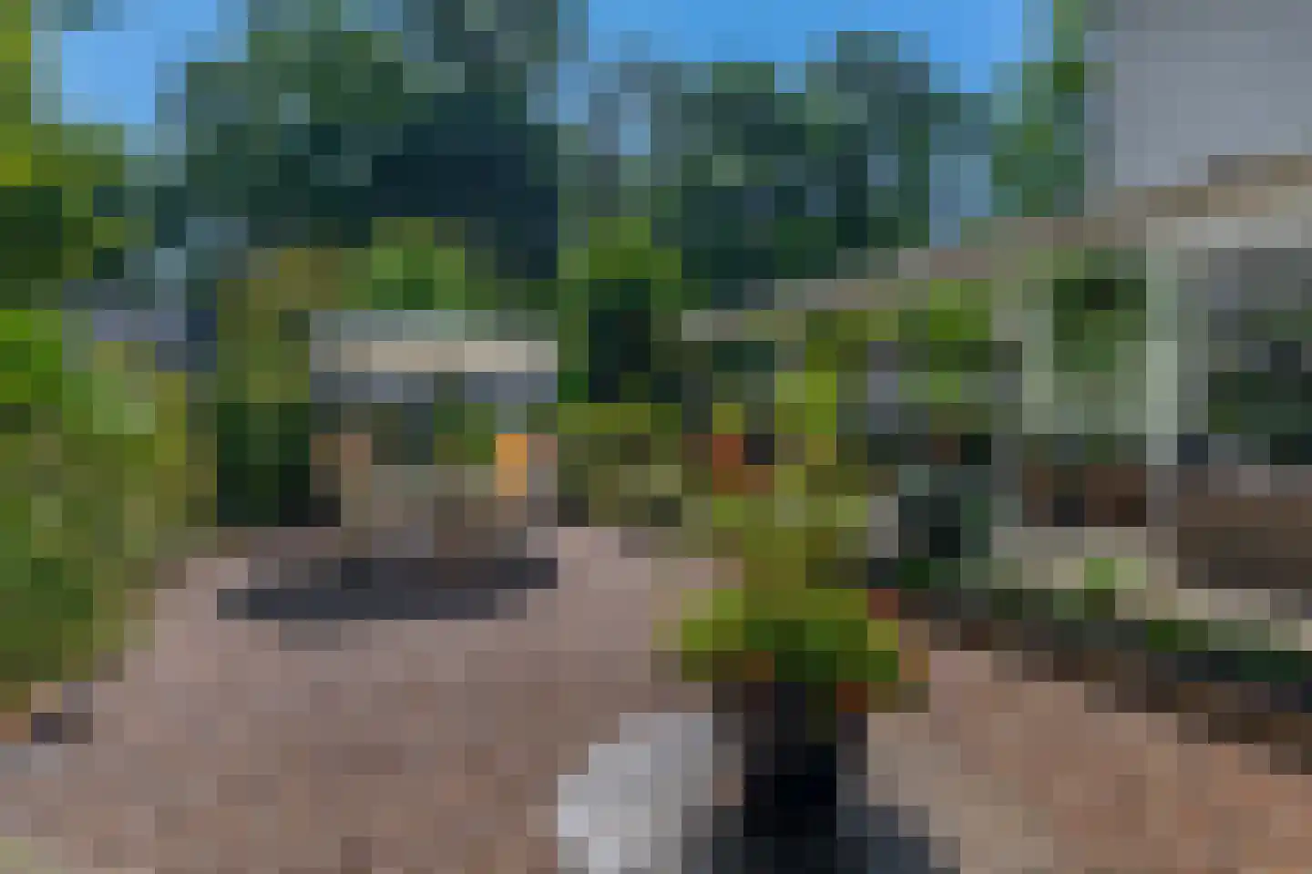 Bremweg 21 Venlo thumbnail 30