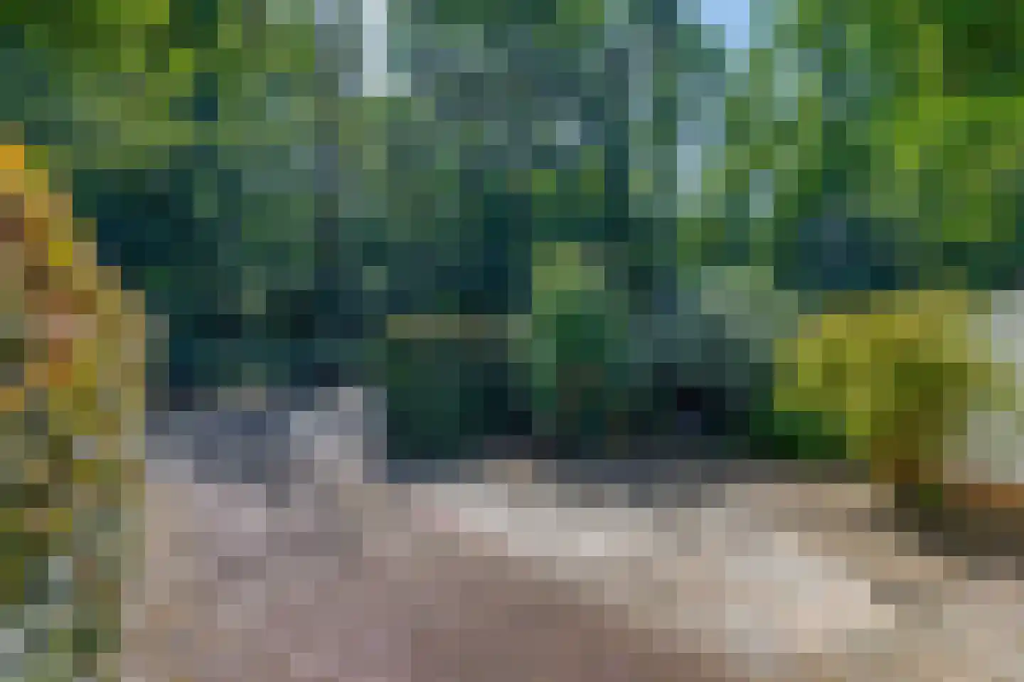 Bremweg 21 Venlo thumbnail 33