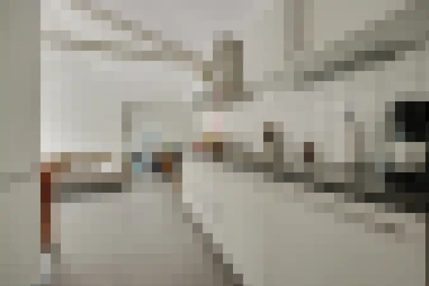 Bremweg 25 Renesse thumbnail 12