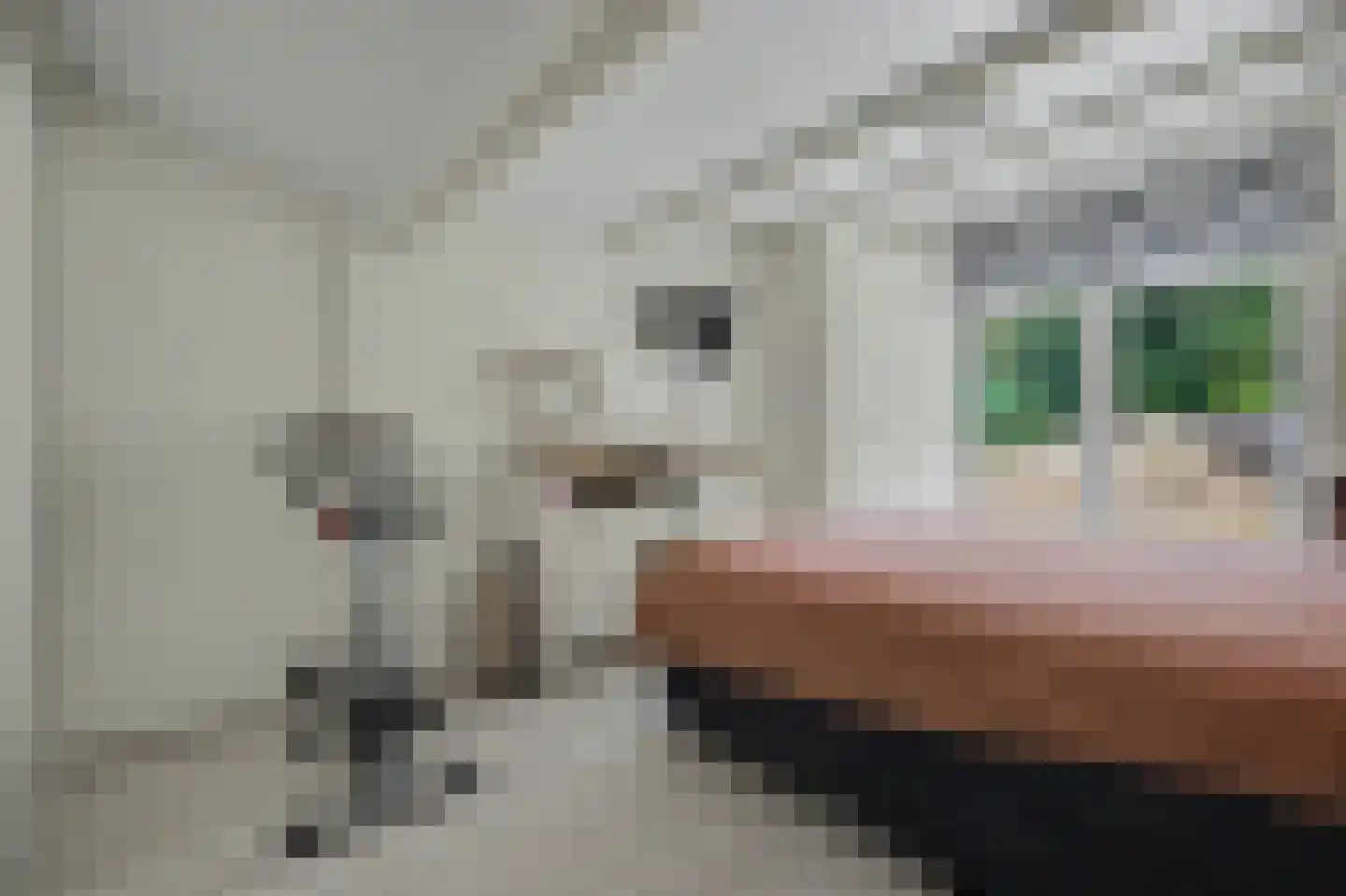 Bremweg 25 Renesse thumbnail 16