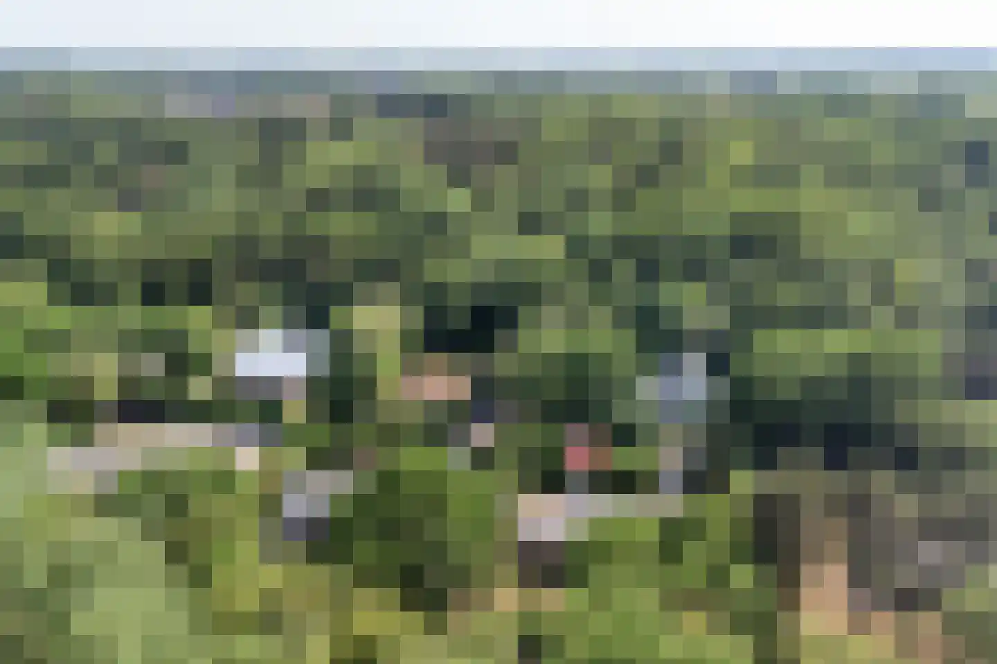 Bremweg 25 Renesse thumbnail 29