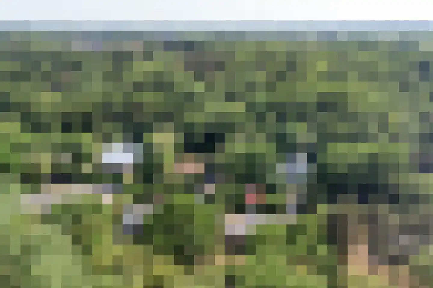 Bremweg 25 Renesse thumbnail 29