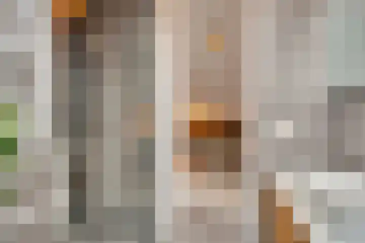 Bremweg 28 Nijverdal thumbnail 32