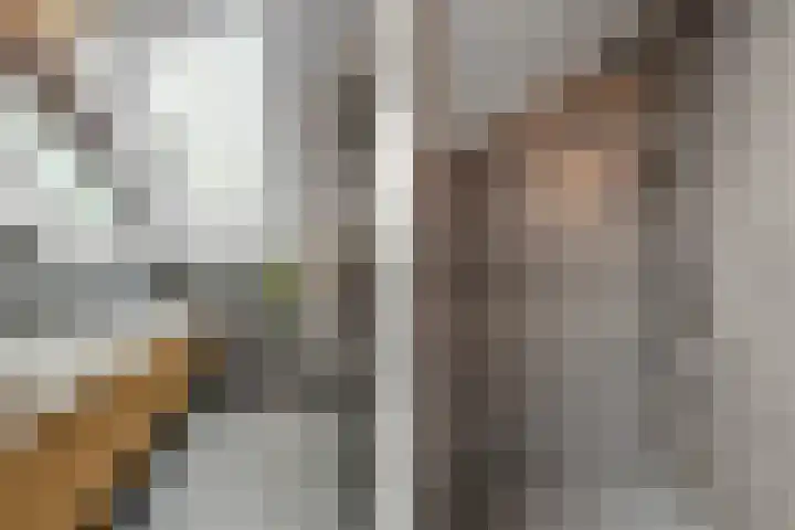 Bremweg 28 Nijverdal thumbnail 33