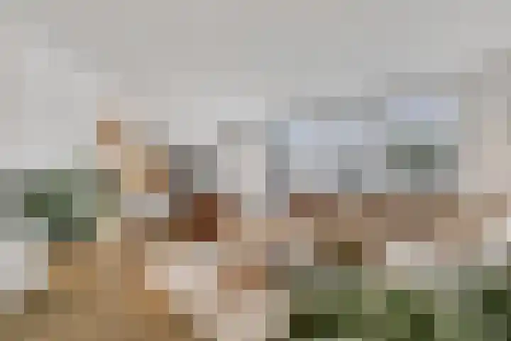 Bremweg 28 Nijverdal thumbnail 7