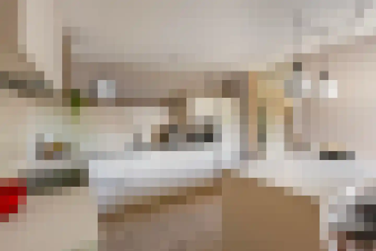 Bremweg 3 Venlo thumbnail 12
