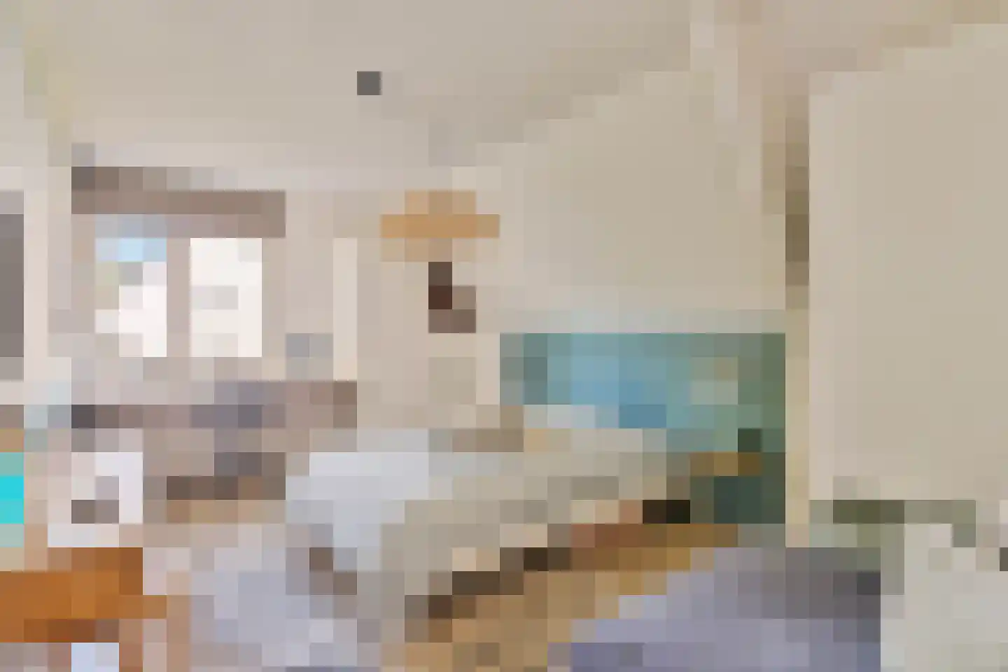 Bremweg 3 Venlo thumbnail 20