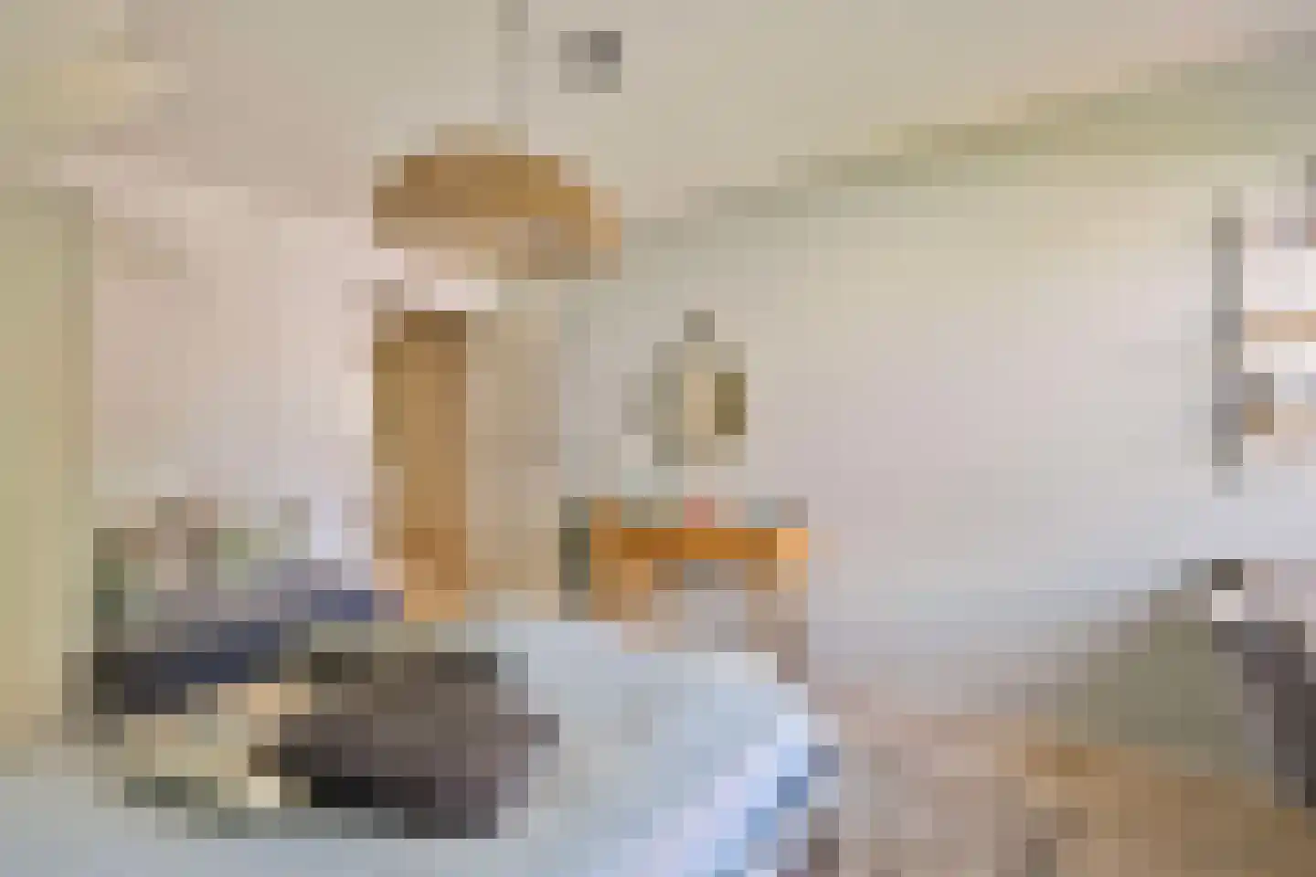 Bremweg 3 Venlo thumbnail 21