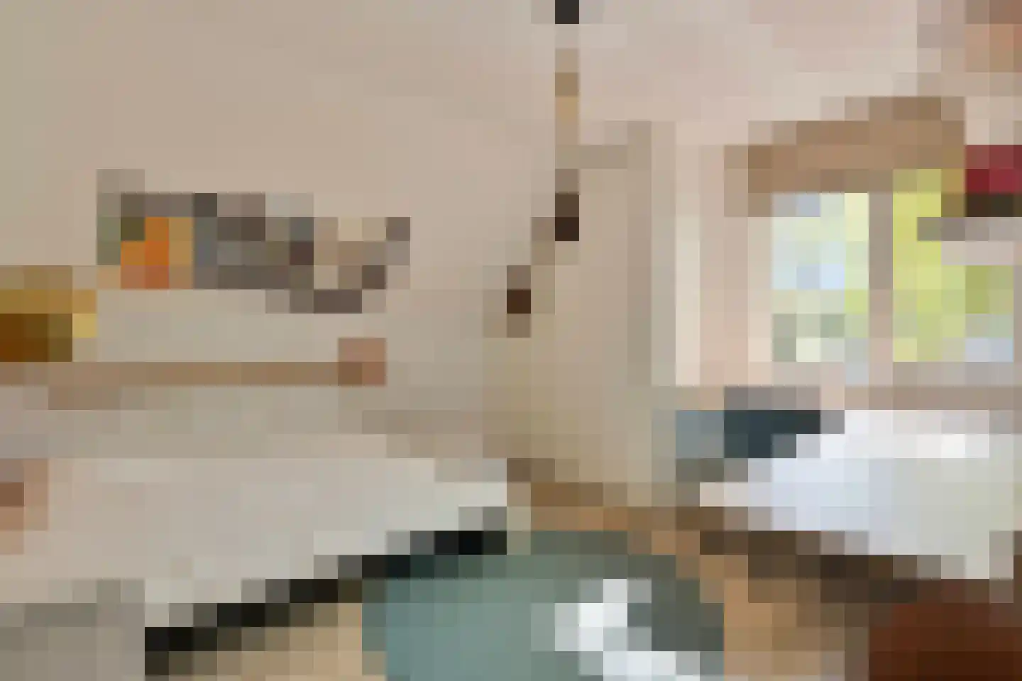 Bremweg 3 Venlo thumbnail 25