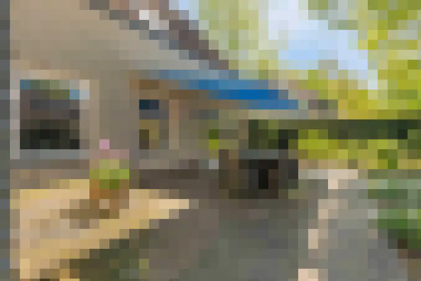Bremweg 3 Venlo thumbnail 32