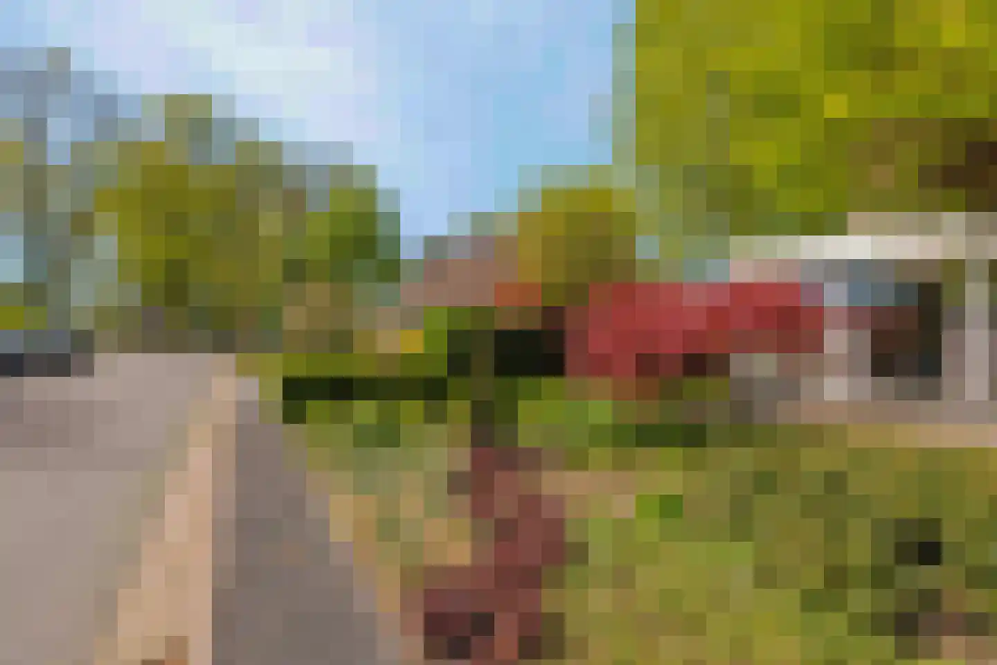 Bremweg 3 Venlo thumbnail 42