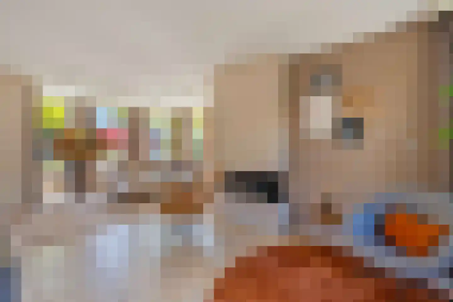 Bremweg 3 Venlo thumbnail 5