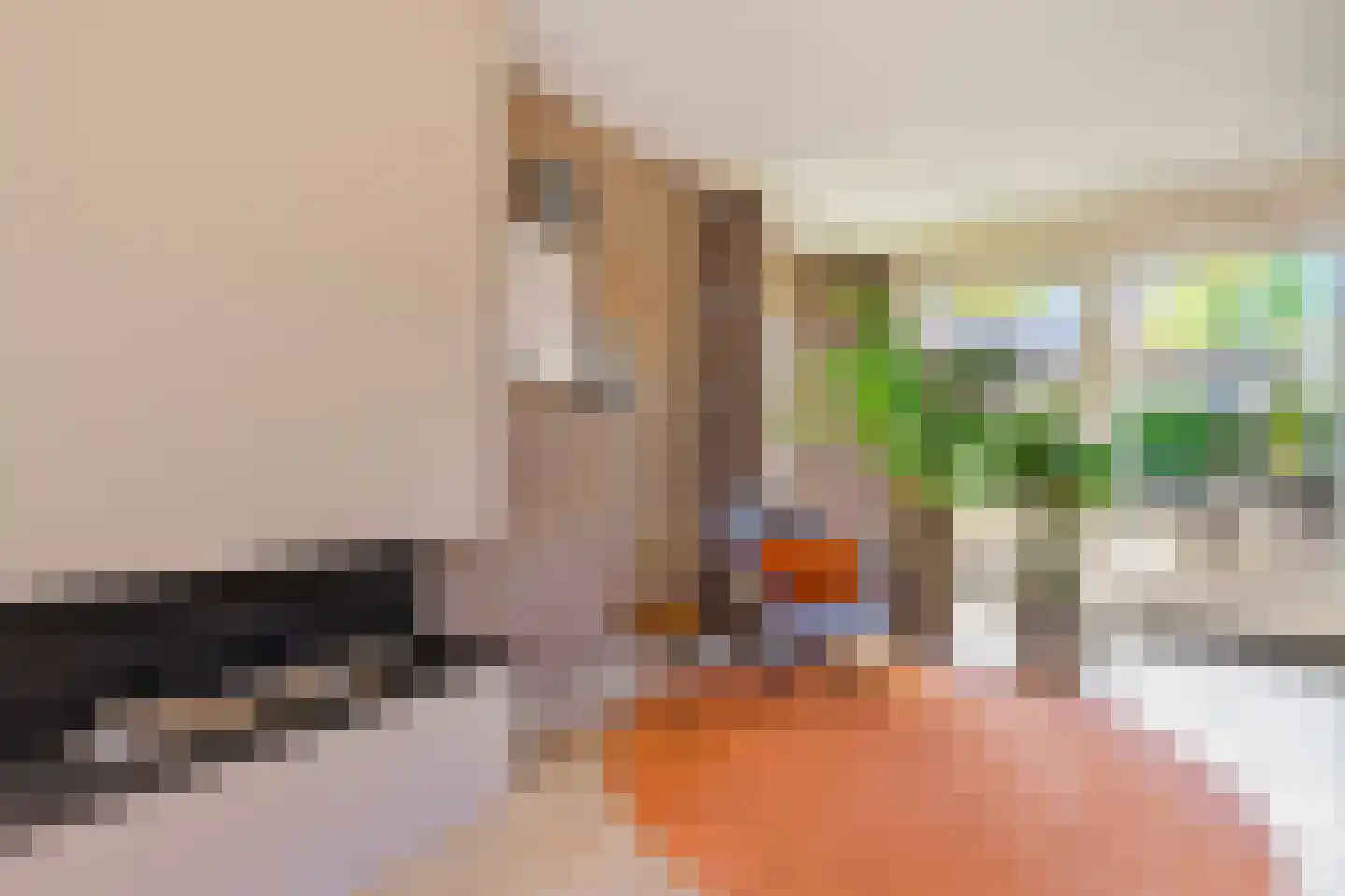 Bremweg 3 Venlo thumbnail 7