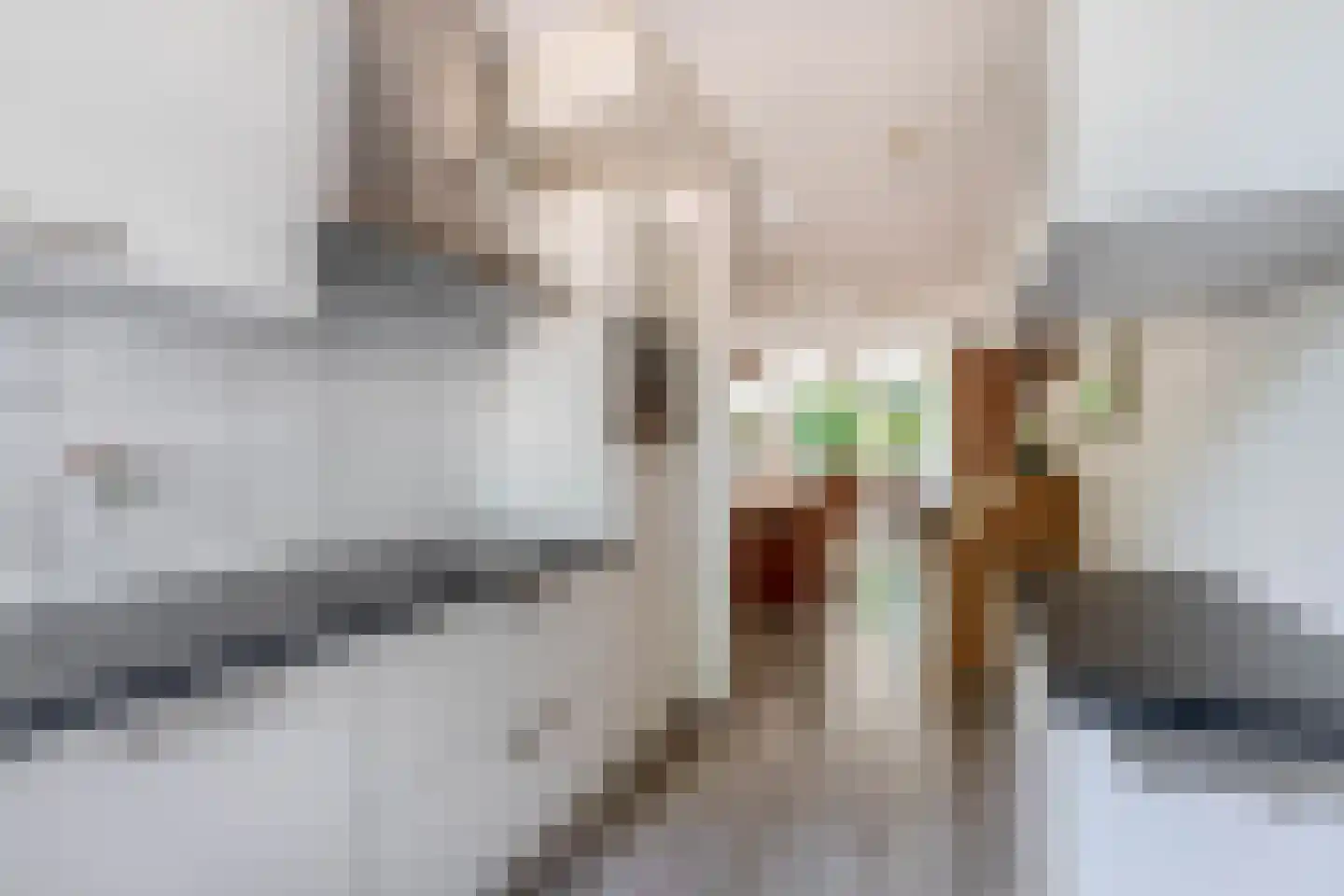 Bremweg 55 Venlo thumbnail 11