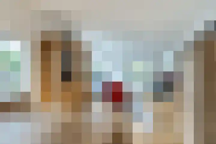 Bremweg 6 Zuidlaren thumbnail 11