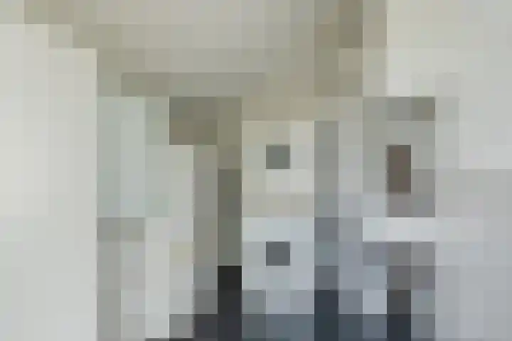 Bremweg 6 Zuidlaren thumbnail 14