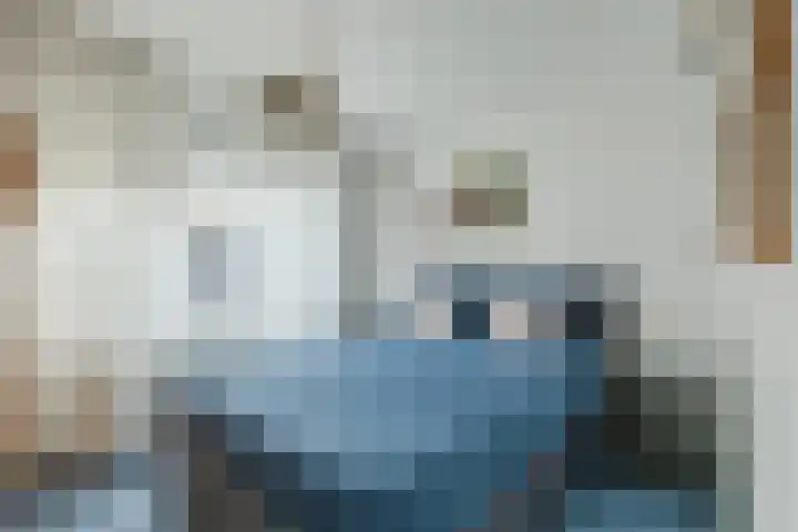 Bremweg 6 Zuidlaren thumbnail 15