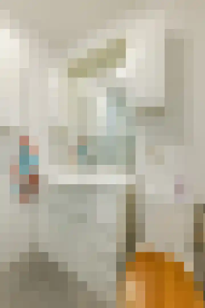 Bremweg 6 Zuidlaren thumbnail 20