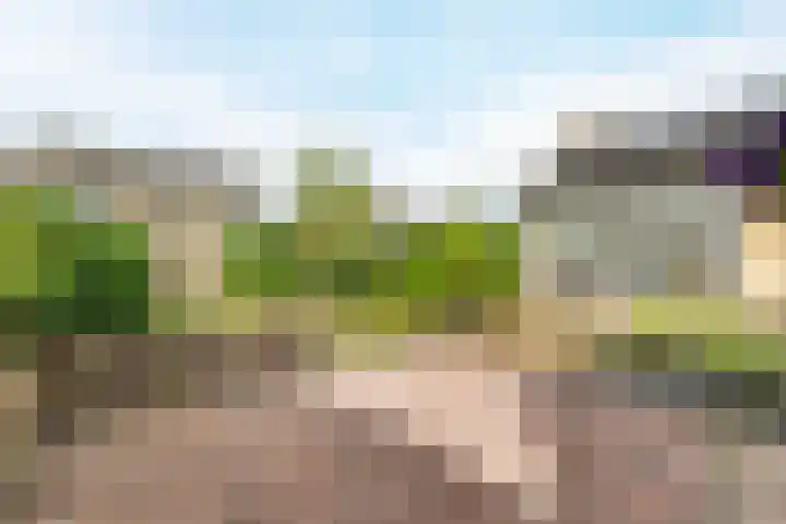 Bremweg 6 Zuidlaren thumbnail 26