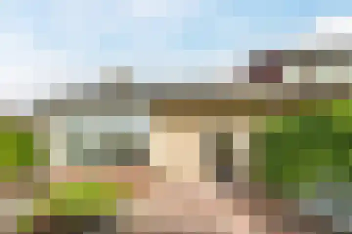 Bremweg 6 Zuidlaren thumbnail 27