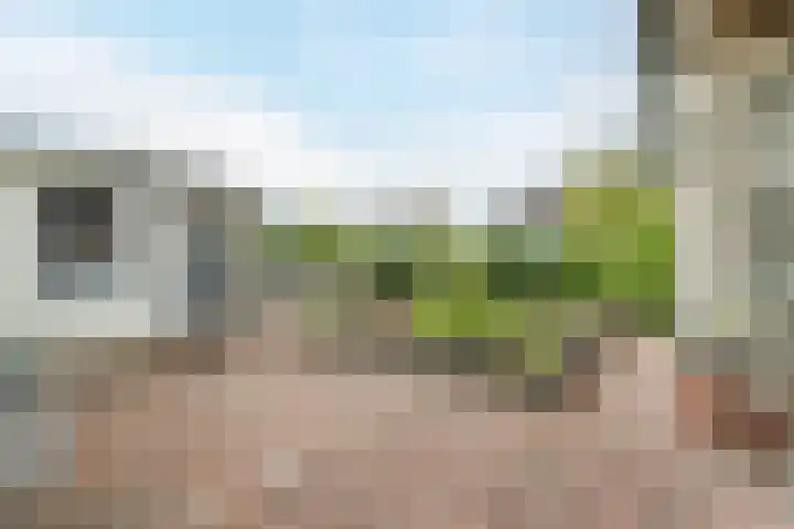 Bremweg 6 Zuidlaren thumbnail 28