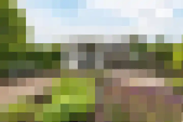 Bremweg 6 Zuidlaren thumbnail 29