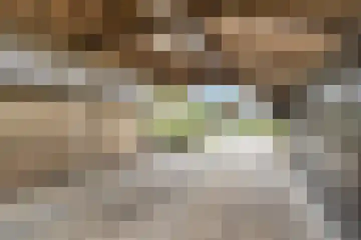 Bremweg 6 Zuidlaren thumbnail 32