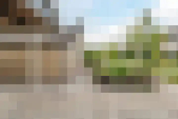 Bremweg 6 Zuidlaren thumbnail 33