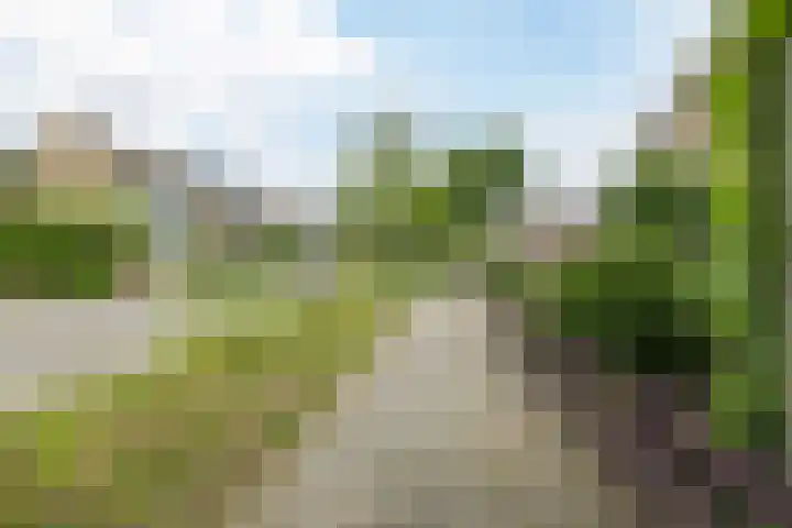 Bremweg 6 Zuidlaren thumbnail 34