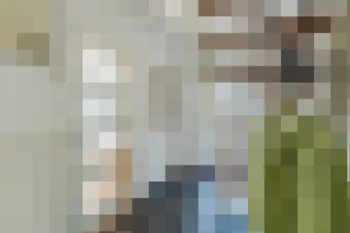 Bremweg 6 Zuidlaren thumbnail 5