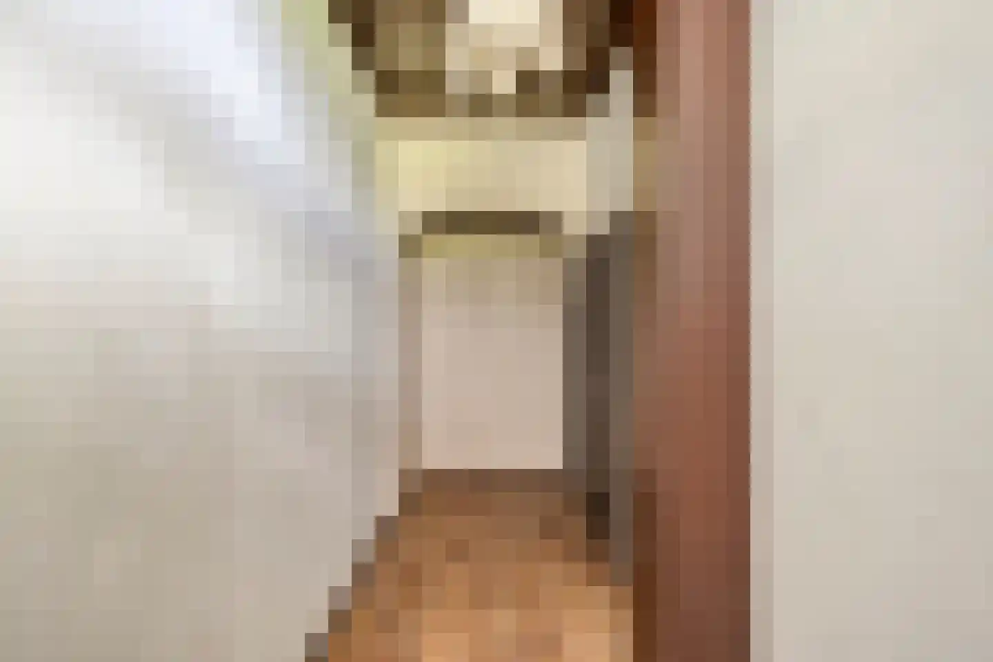 Brenksestraat 6 Echteld thumbnail 17