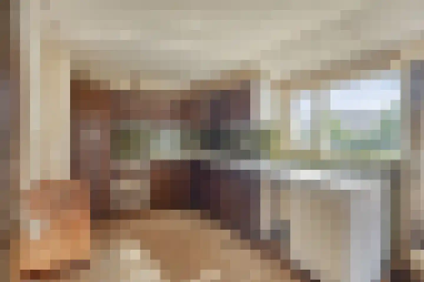 Brenksestraat 6 Echteld thumbnail 19