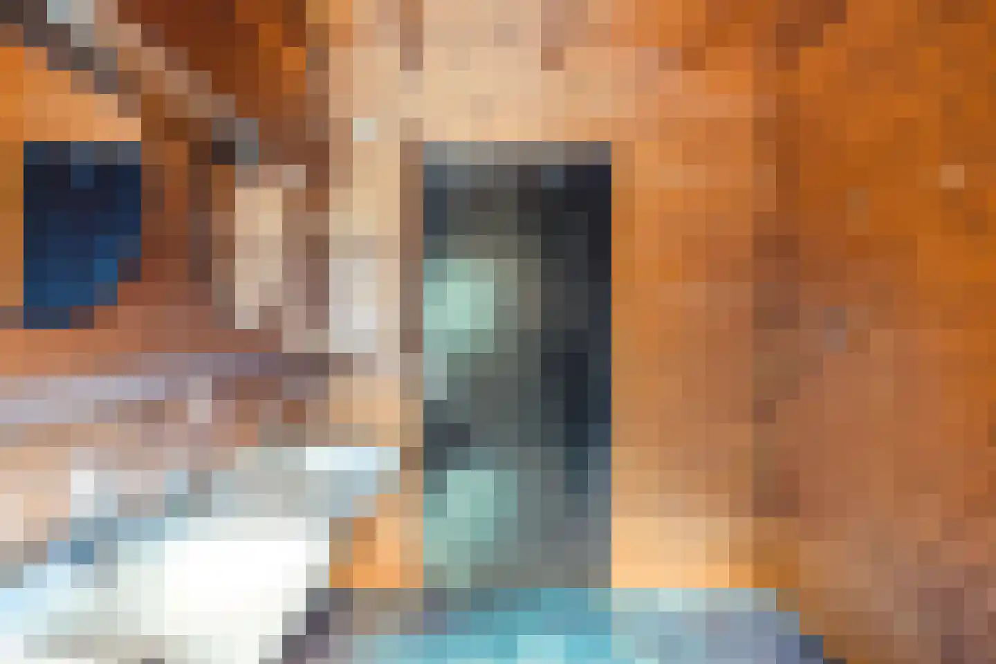 Brenksestraat 6 Echteld thumbnail 27