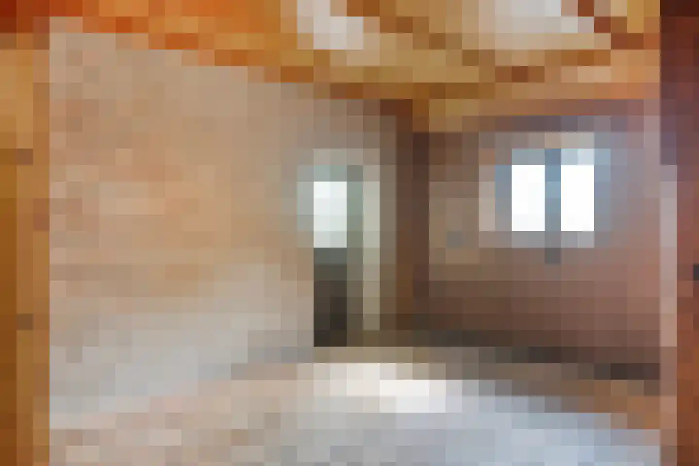 Brenksestraat 6 Echteld thumbnail 28