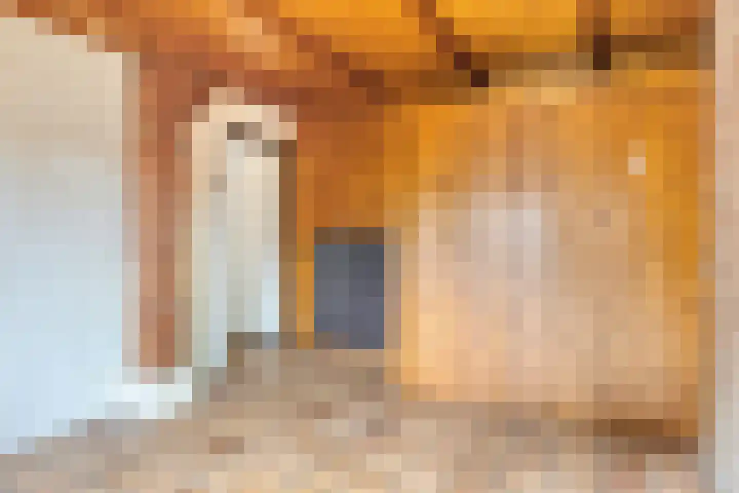 Brenksestraat 6 Echteld thumbnail 29