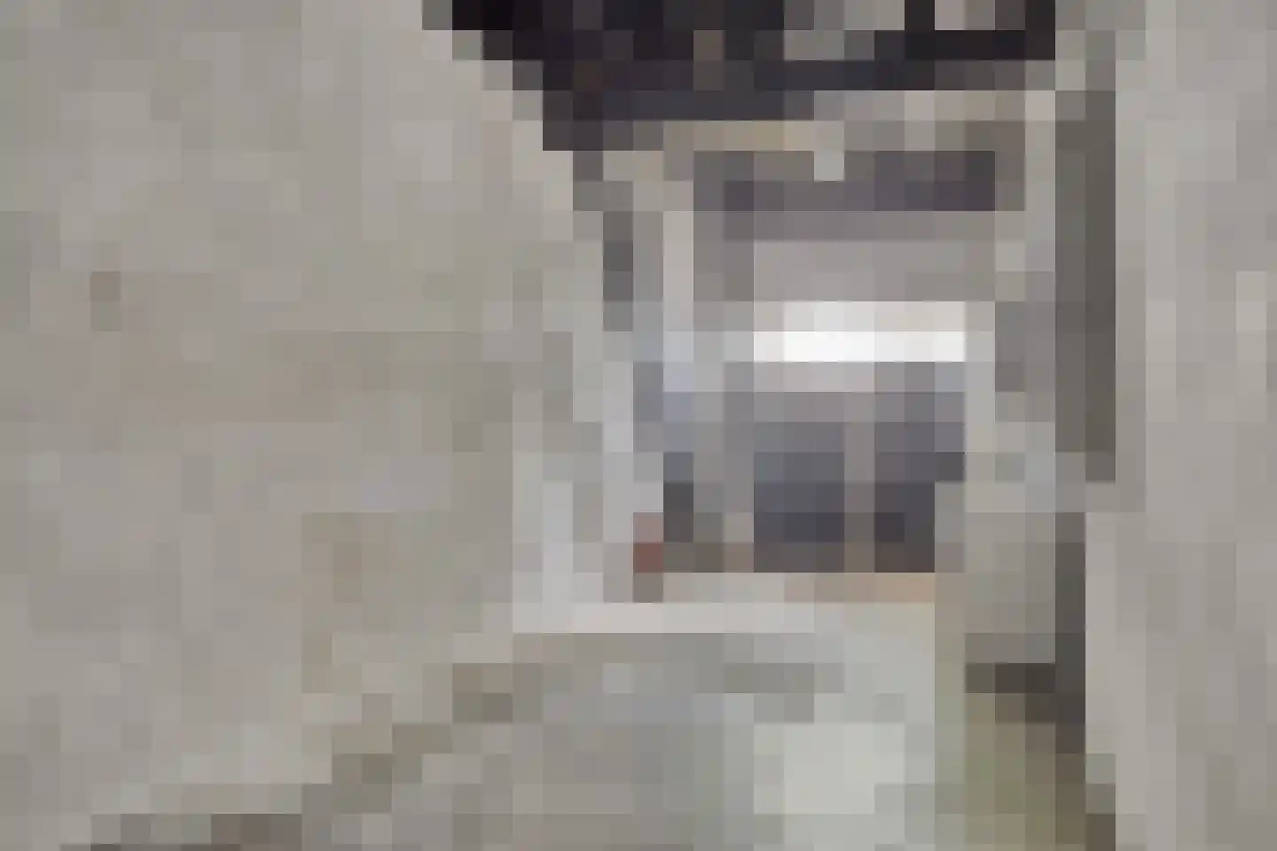 Brenksestraat 6 Echteld thumbnail 30