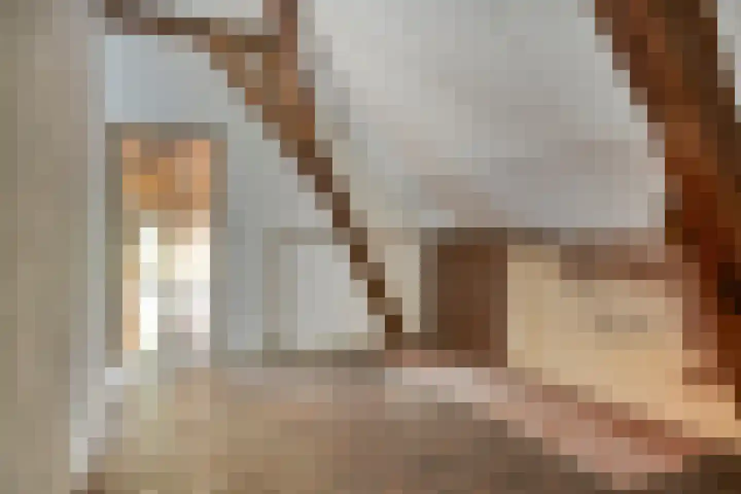 Brenksestraat 6 Echteld thumbnail 35