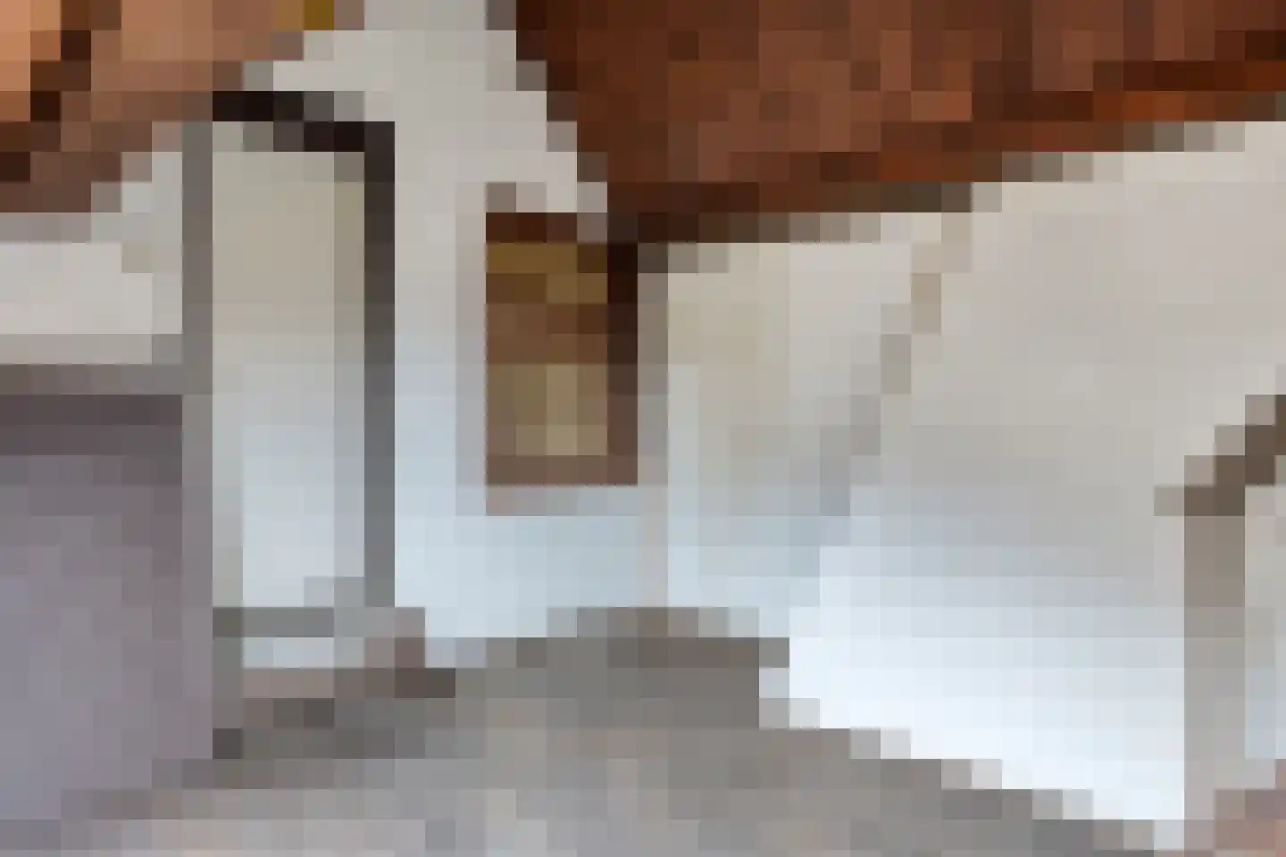 Brenksestraat 6 Echteld thumbnail 37