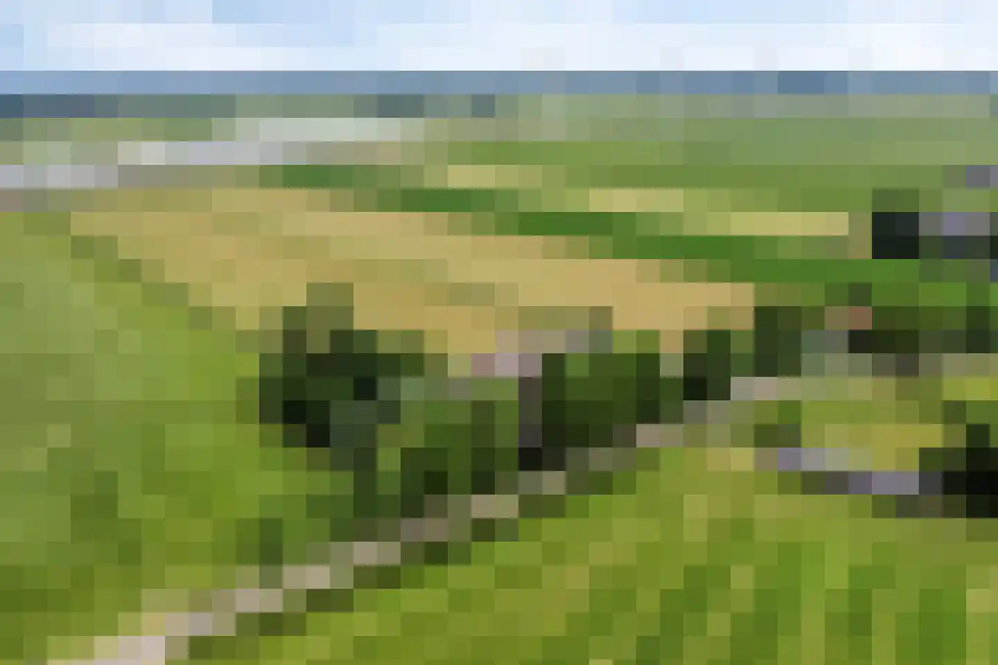 Brenksestraat 6 Echteld thumbnail 4