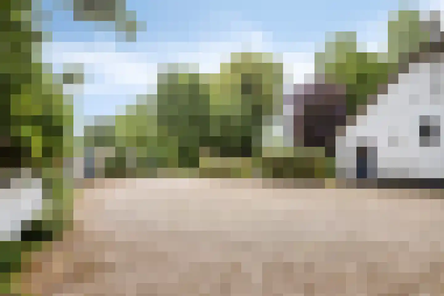 Brenksestraat 6 Echteld thumbnail 43
