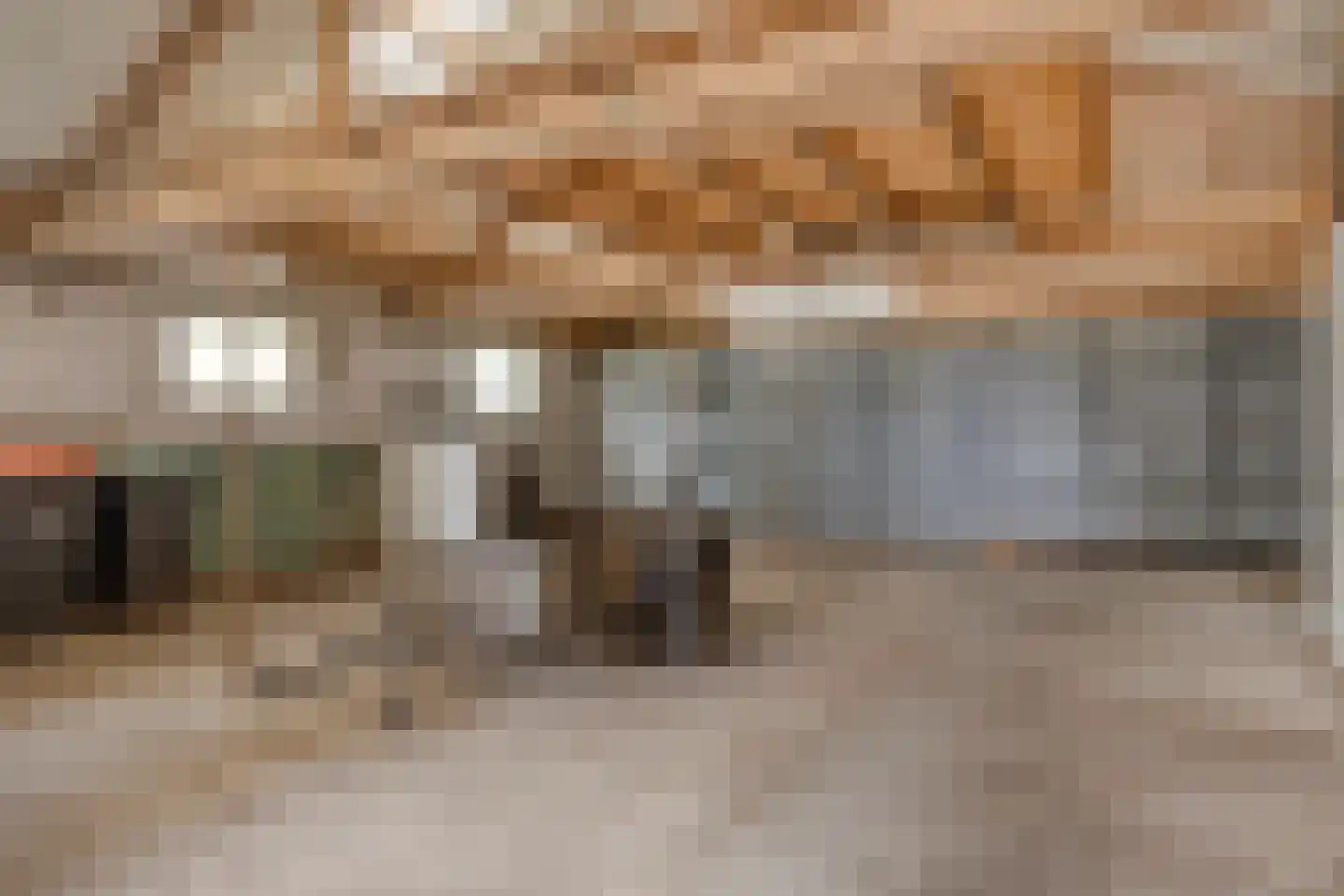 Brenksestraat 6 Echteld thumbnail 45