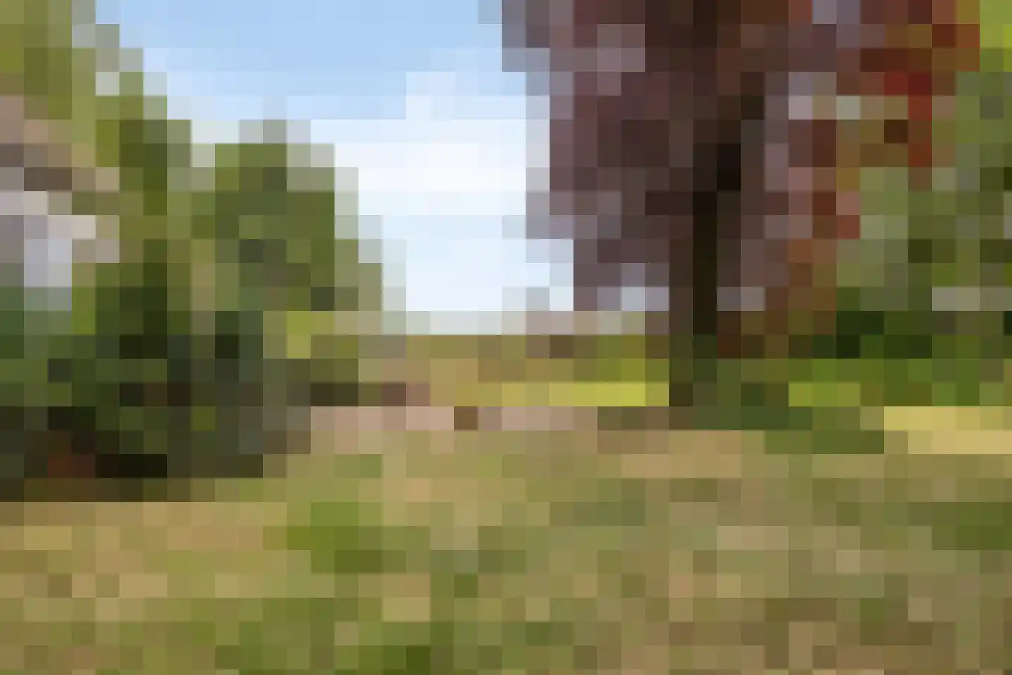 Brenksestraat 6 Echteld thumbnail 47